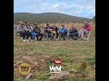 MASSINISSA 