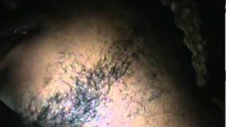 M2U04494.MPG