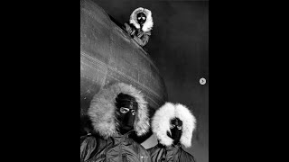 Vintage But The Best Winter Jacket: USAF N3B