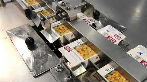 Cartoning machine shrink wrap machine