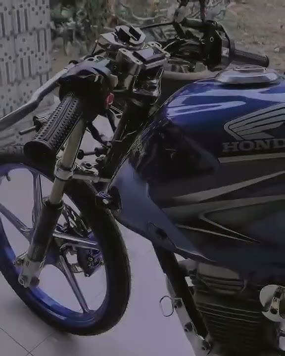 story wa herex || TIGER CJDW NEW CONCEPT jedag jedug #viralshorts #tiktok #tiktokvideo #storywa