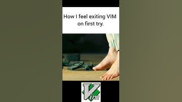 Exiting VIM on first try success #memes #distrotube #linux #linuxos
