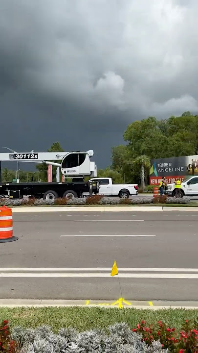 🚦 Traffic Lights 🚦 ANGELINE Land O Lakes, FL