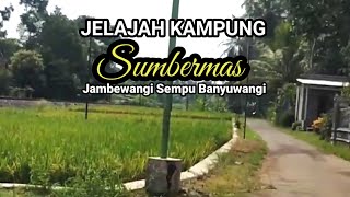 SUMBERMAS .!! JELAJAH KAMPUNG DI DESA JAMBEWANGI SEMPU BANYUWANGI 