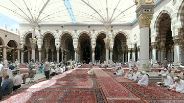 القرآن الكريم : سورة الرّوم Quran Translation -Ghamdi: Ar-Rum : 30