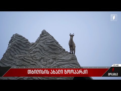 თბილისის ახალი ზოოპარკი