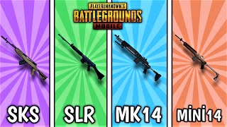 SKS vs SLR vs MK14 vs MINI14 (Hangisi Daha İyi?) - Pubg Mobile