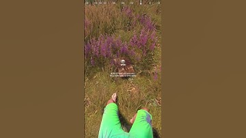 easy ways to get guns in rust part 6