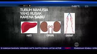 Bagian Tubuh Manusia yang Rusak Akibat Konsumsi Sabu - NET12