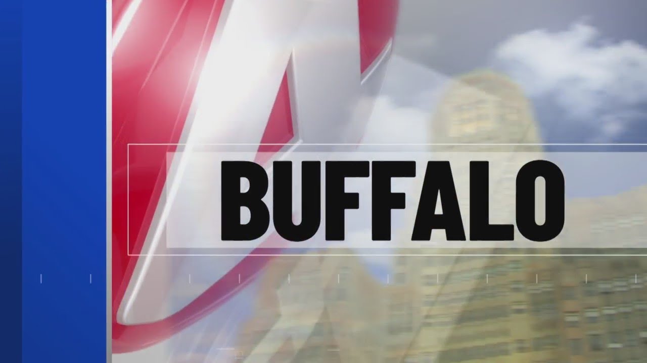 Buffalo man pleads guilty to multiple felonies, faces 15 years in ...