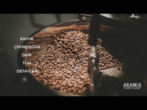 ARABICA NEDİR? İYİ KAHVE ÇEKİRDEĞİ NASIL ANLAŞILIR ?