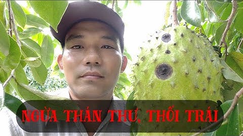 Chia sẽ cách phòng ngừa bệnh thúi trái, thán thư trên trái mãng cầu xiêm.#water #agriculture