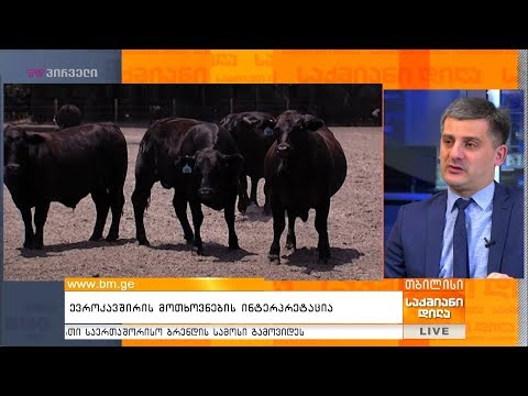 ევროკავშირის მოთხოვნების ინტერპრეტაცია