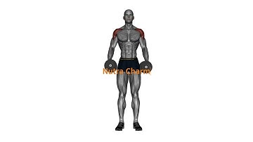 How To Do Dumbbell Armpit Row | Nutra Charm