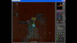 Tibia My First Dragon