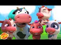 Five Little Cows, Animal Cartoon And Baby Songs