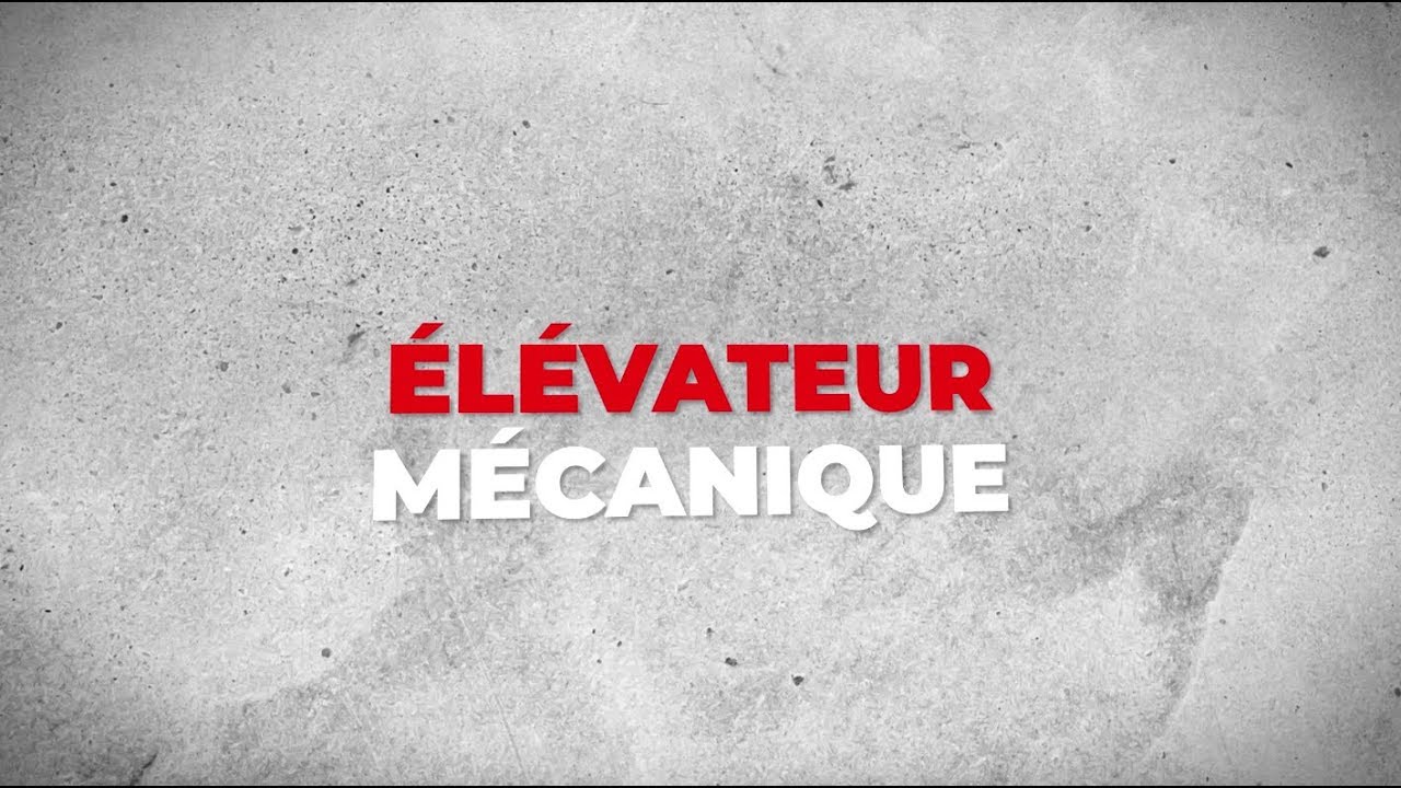 Elévateur mécanique LOXAM