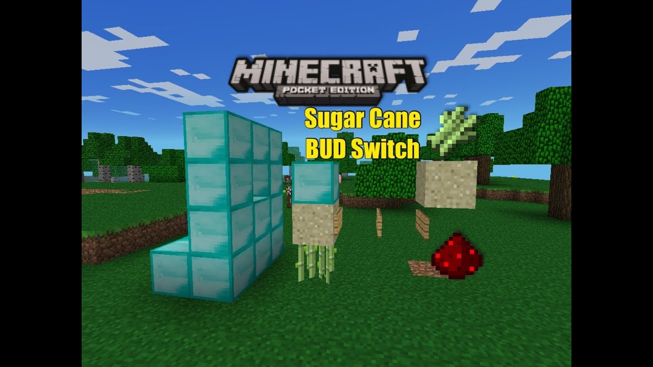 Minecraft Pe Sugar Cane Bud Switch Youtube