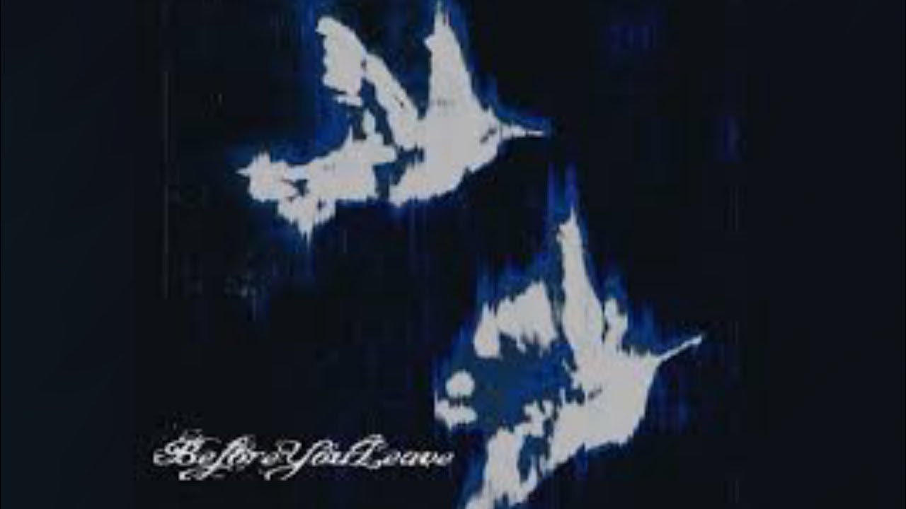 Everybody tells me nothing - Beforeyouleave 