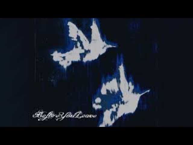 Everybody tells me nothing - Beforeyouleave