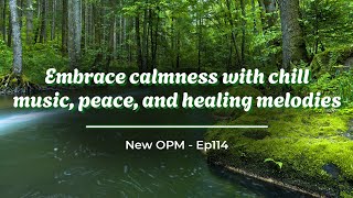 Let&#39;s Go Home 🌌 Embrace calmness with chill music, peace, and healing melodies ☕ Ep114