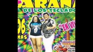 El Paso Del Canguro El Araña De Los Teclados