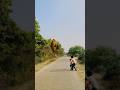 Big dinosaur Chase T-rex chasingpart 127#shorts#dinosaur#youtube#dino saurs#youtubeshorts 🦕🦕#funny