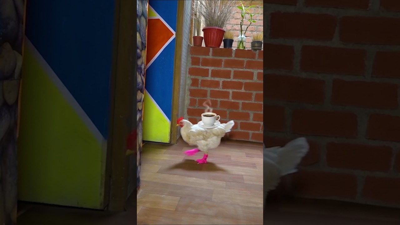 Original Title & Thumbnail