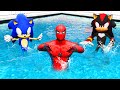 GTA 5 Water Ragdolls Spiderman vs Sonic vs Evil Sonic Jumps/Fails (Euphoria Phyics Funny Moments)