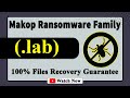 || SOLVED ✅🔘|| Lab (.lab) Makop family ransomware virus - removal and decryption