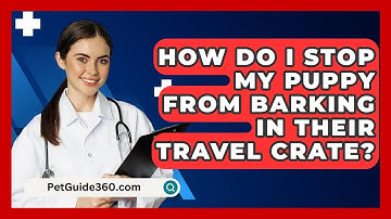 How Do I Stop My Puppy From Barking In Their Travel Crate? - PetGuide360.com