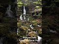 Dickson Falls, Fundy National Park, New Brunswick, Canada