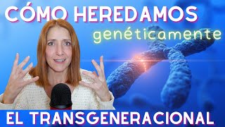 GENÉTICA y EPIGENÉTICA (o cómo heredamos los traumas transgeneracionales)