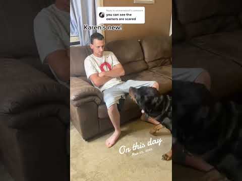 ۱ وقتی یه خرس سعی می کنه صاحبت بشه به هیچ وجه عقب نشینی نمی کنی حتی با گاز گرفتن خرس دیوانه