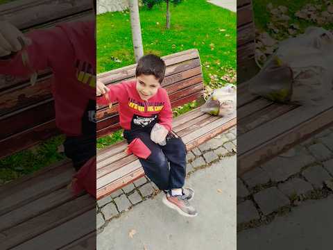 عمر طعميني معك جلاتين محمد الغبي بخاف من الدودة  سوريا العراق السعودية الاردن لبنان ضحك