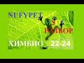 Разбор НУФИПЕТ ХИМБИО 22, 23, 24