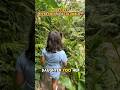 Took My Daughter To A Jungle River In Colombia рџЊїрџ Ёрџ ґ VisitColombia Travelingwithkids Took My Daughter To A Jungle River In Colombia рџЊїрџ Ёрџ ґ VisitColombia Travelingwithkids