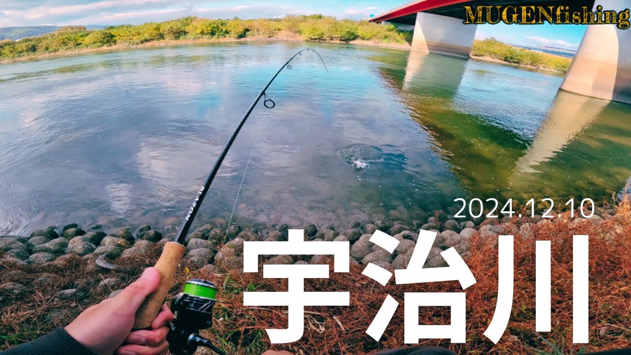 【 宇治川 】　12月 bassfishing diary#1    #バス釣り #fishing