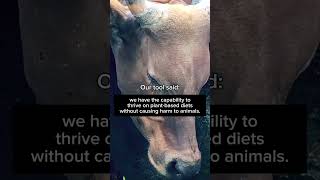 Got trolls? Let our Vegan AI handle them 🤖🌱