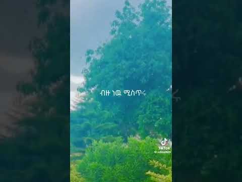 ማርያም ህይወቴ ነሽ ምክንያት ለመዳኔ