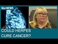 Could herpes help cure cancer? A new vaccine is proving successful in shrinking tumours | ITV News