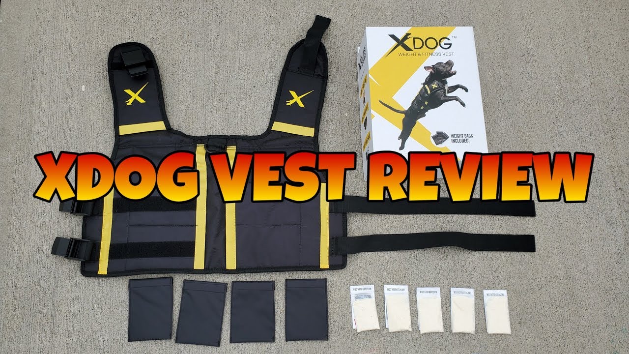 XDog Review! *READ UPDATE* YouTube