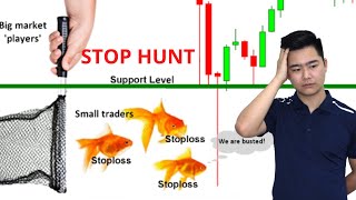 Stop Hunt | Nỗi ám ảnh của các trader và cách khắc phục nó như thế nào?