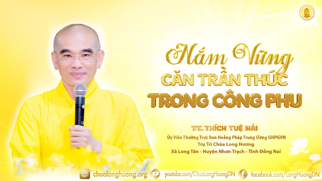Nắm Vững Căn Trần Thức Trong Công Phu  -  TT. Thích Tuệ Hải - Chùa Long Hương