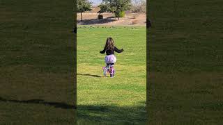 Chasing The Birds At The Park