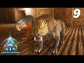 Je capture des sabertooth parfait pour les grottes  ark ascended scorched earth 9