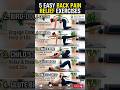 5 easy backpain relief exercise #shortsfeed #physiotherapist #shortsviral #sports #healthyfood