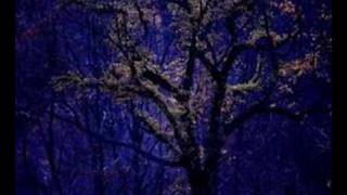 香水有毒(Perfume is poisonous) chords