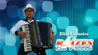 Raiz Poderosa (Elias Carneiro) chords