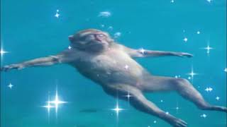 Brain Empty. Just Float. 🎧 Deep Underwater Lo-Fi to disconnect from reality